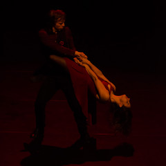d7k_1284_carrysize_cr_31309033278_o.jpg